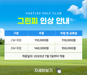 그린피인상